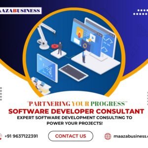 Software Developer Consultant