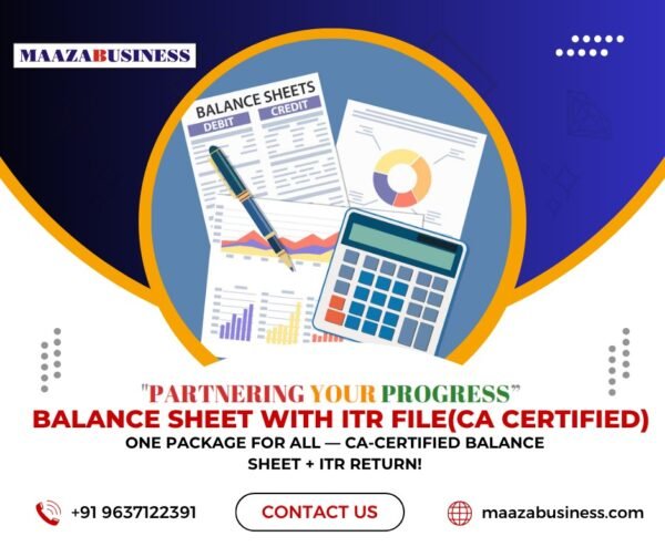 Balance Sheet With ITR File(CA CERTIFIED) ( Government Charges extra if applicable)
